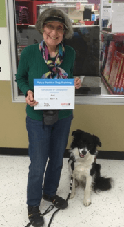 Zev the border collie receiving his training certificate